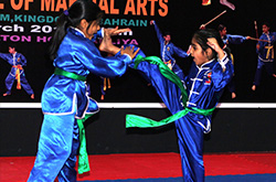 Babu Antony School of Martial Arts Bahrain
